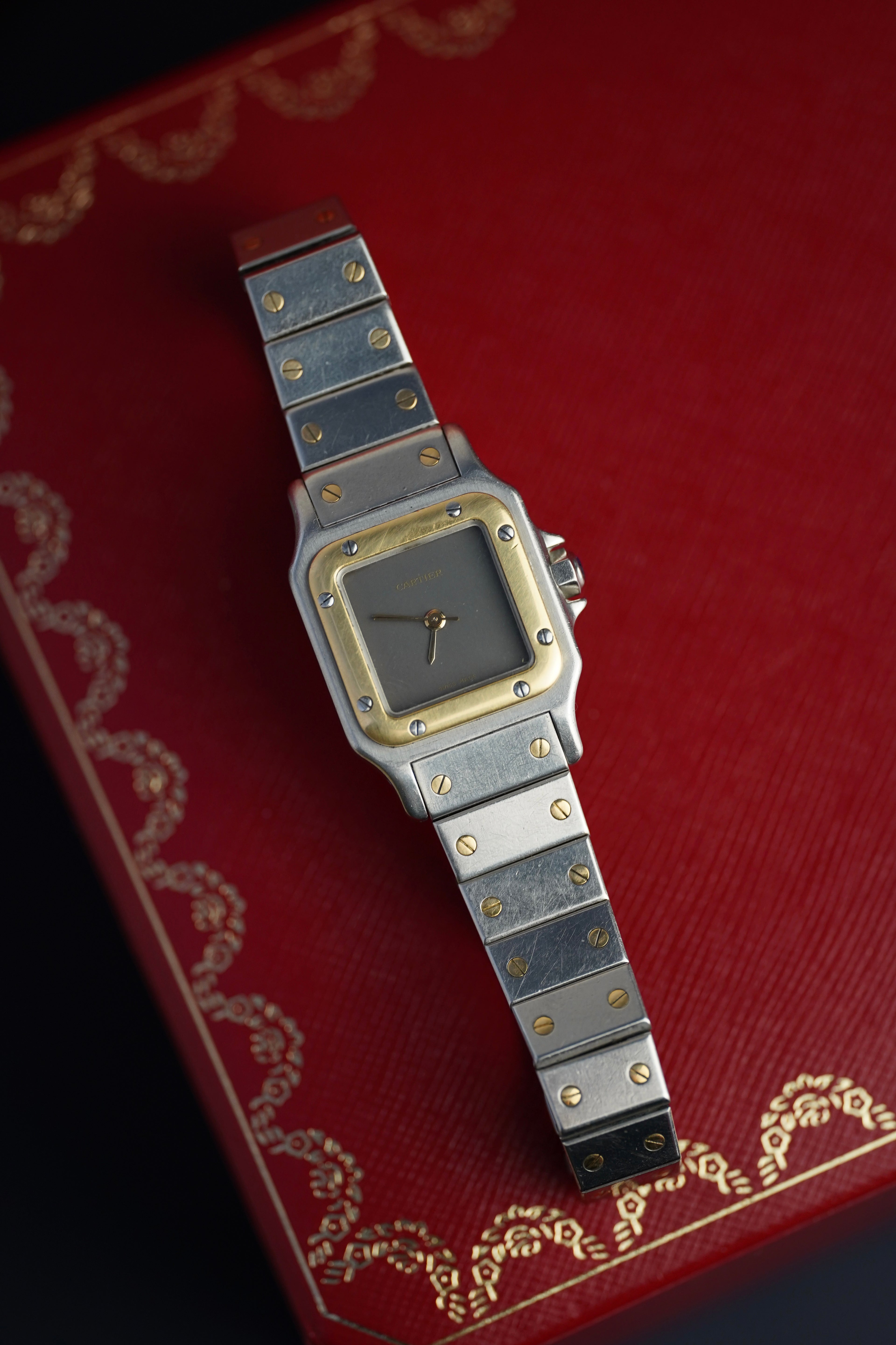 Cartier Santos Carrée Ghost PM